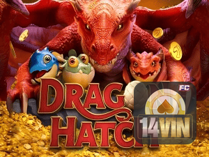 14WIN PIX instantâneo Brasil - Depósito e saque em minutos 24/7